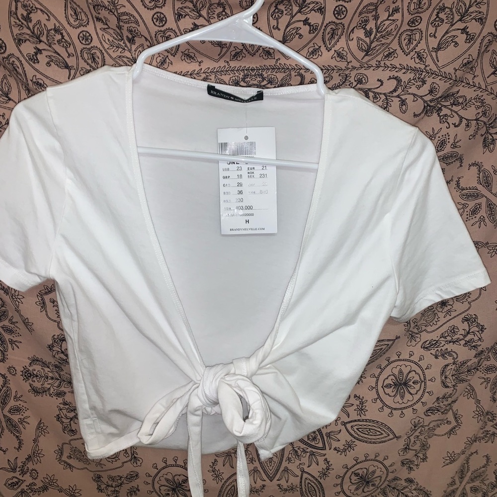Brandy Melville Crop Top